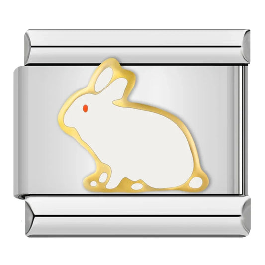 Charm Créatures Fantastiques - DJ042 O
