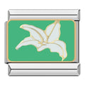 Charm Lys Blanc sur Fond Vert — photo du produit